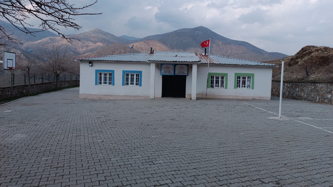 Fotoğrafı Fotoğrafı